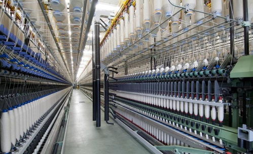 今年工业大麻真的火了,分享一份汉麻融资商业计划书范文