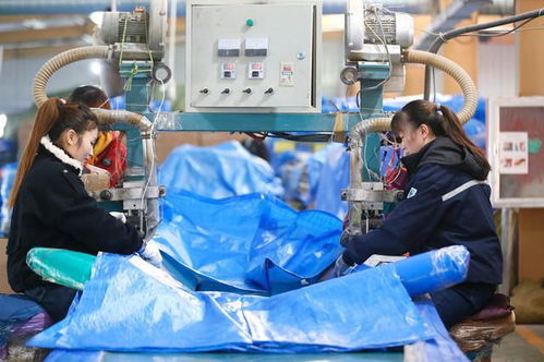 外眼看山东 央媒一周图片撷英丨村里办食堂 老人喜洋洋