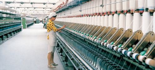 棉花发展简史 作物的价值和可持续的意义