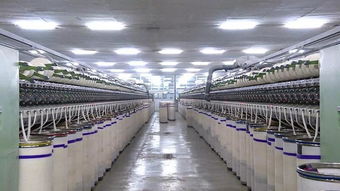 砥砺奋进的五年 智能制造引领乌苏市纺织业高质量发展