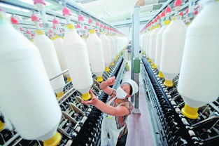 进口棉纱价格比国产棉花便宜 内外有别 伤及纺织业