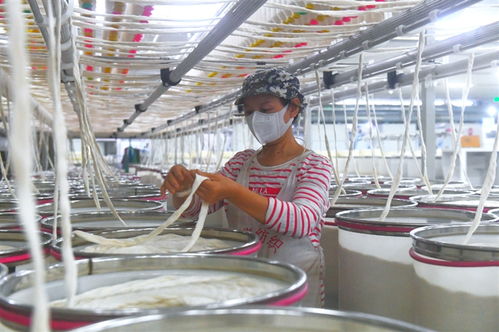 降本增效促发展