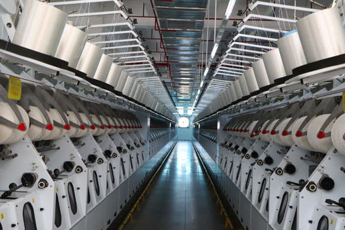 广东制造业 十四五 规划发布,8大产业将江门列入 核心城市