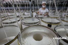 中国纺织业供应链将由低端向高端发展