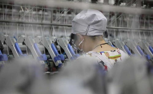 纺织业的演进与发展